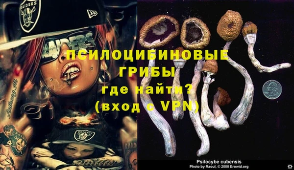 mix Алексин