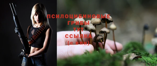 mix Алексин